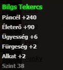 bilgs.jpg